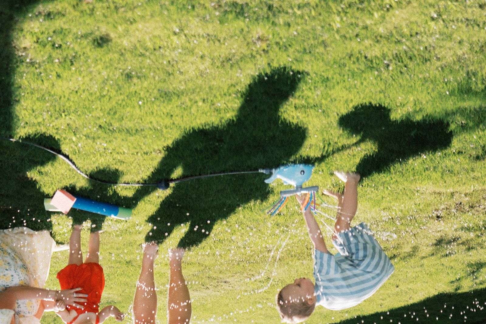 Creative Cropping: Editing for Emotion, Variety & Visual Impact with ...