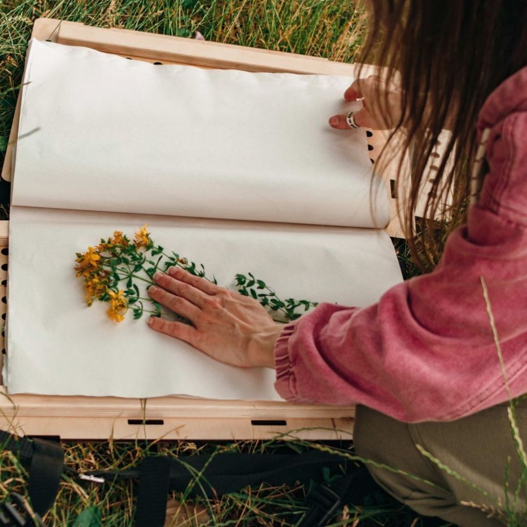 Femme mettant un fleur dans un herbier