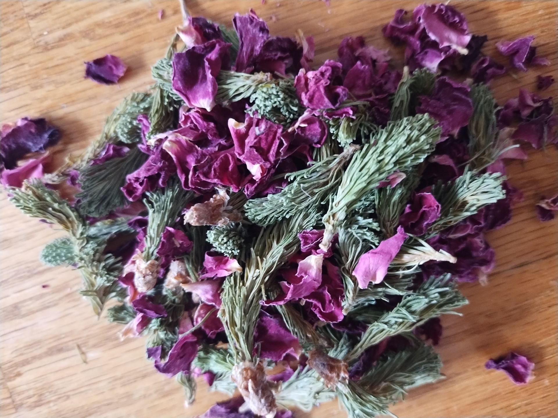 Femme versant de la teinture de plantes médicinales au compte-goutte dans une tasse