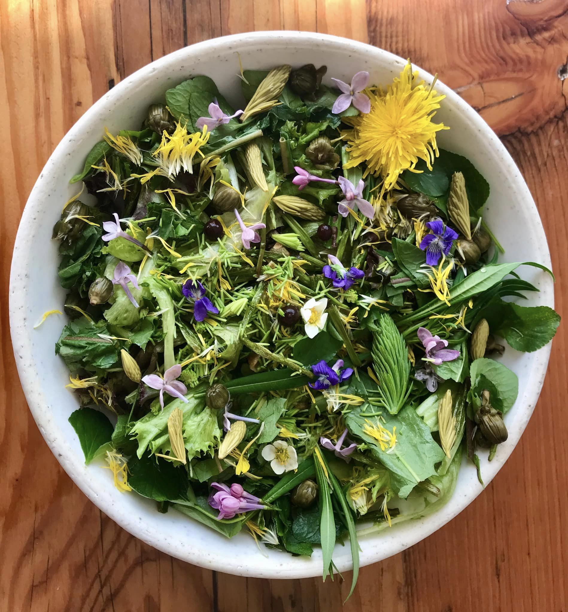 Salade de plantes sauvages