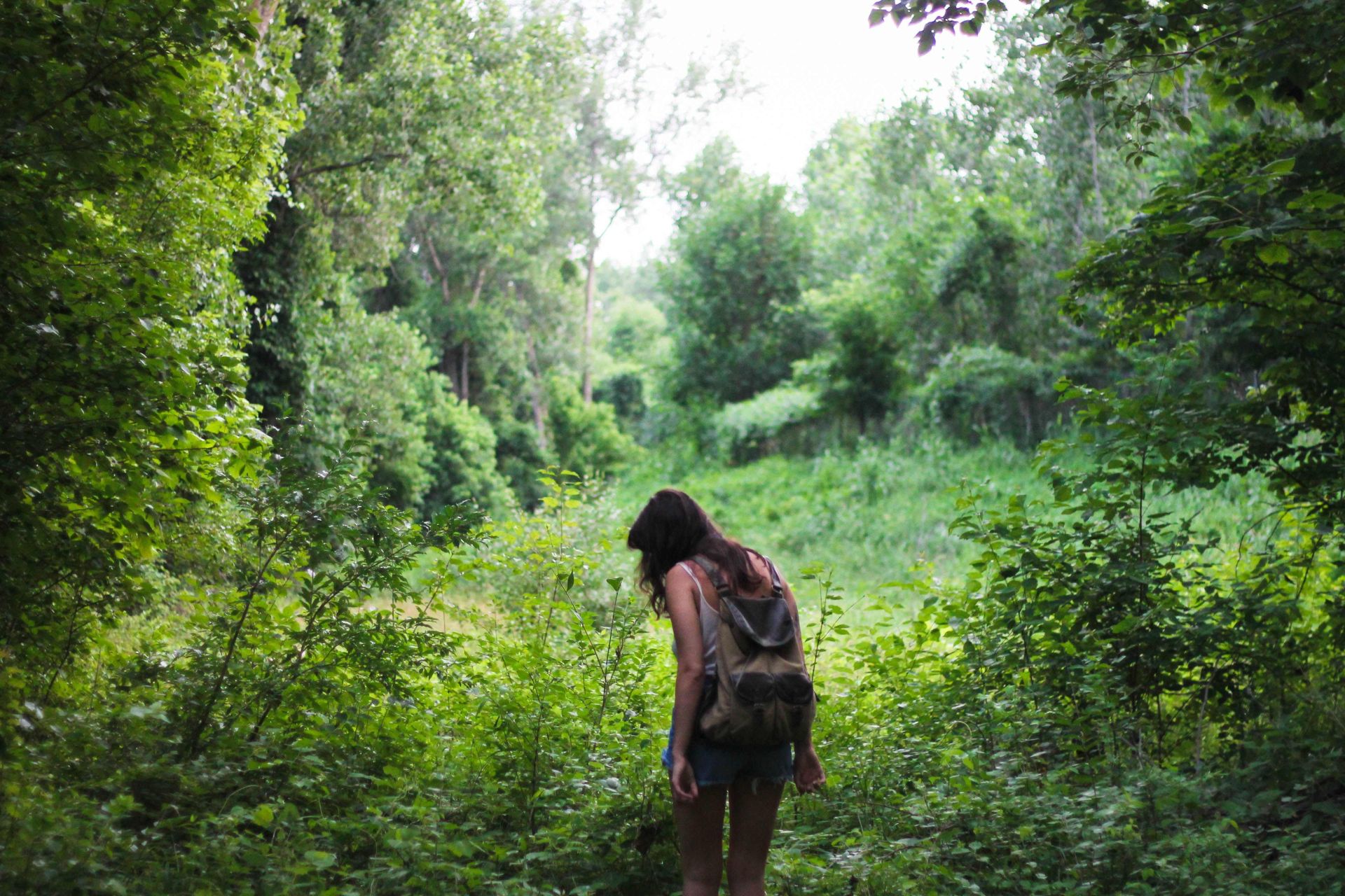 Femme observant les plantes en nature