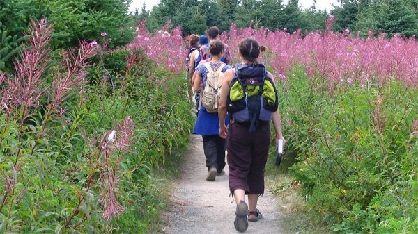 Étudiants en herboristerie faisant une marche d’identification de plantes médicinales